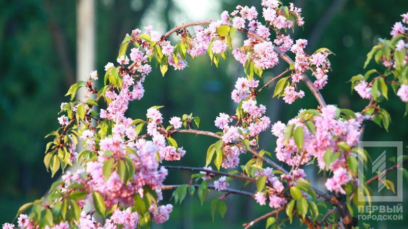 %d0%b4%d0%b5%d1%80%d0%b5%d0%b2%d1%8c%d1%8f7