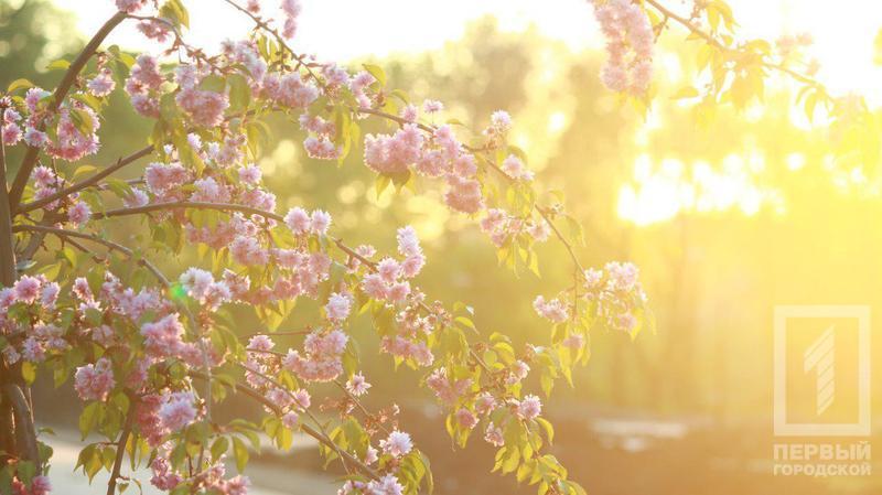 %d0%b4%d0%b5%d1%80%d0%b5%d0%b2%d1%8c%d1%8f8