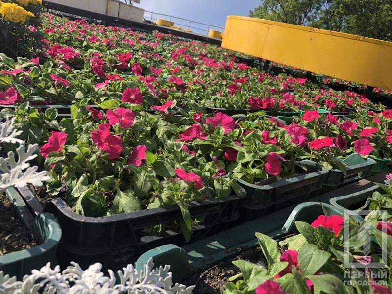 %d1%87%d0%b0%d1%81%d1%8b2