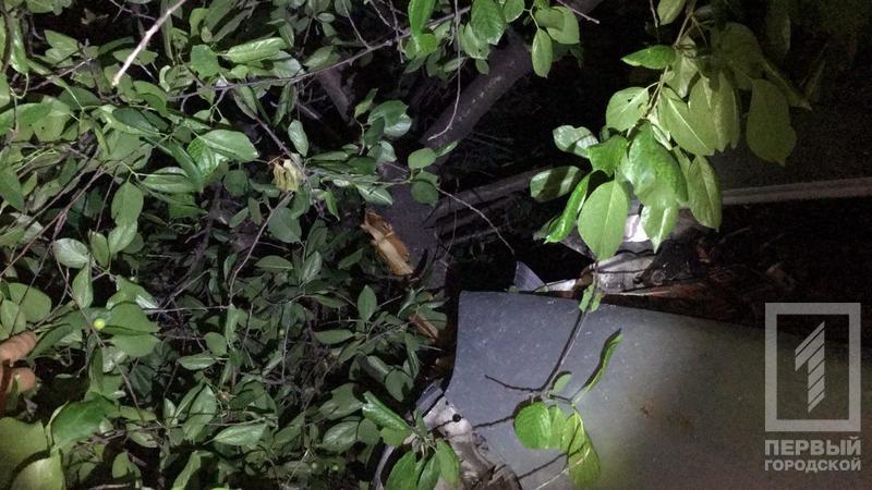 %d0%b0%d0%b2%d0%b0%d1%80%d0%b8%d1%8f1