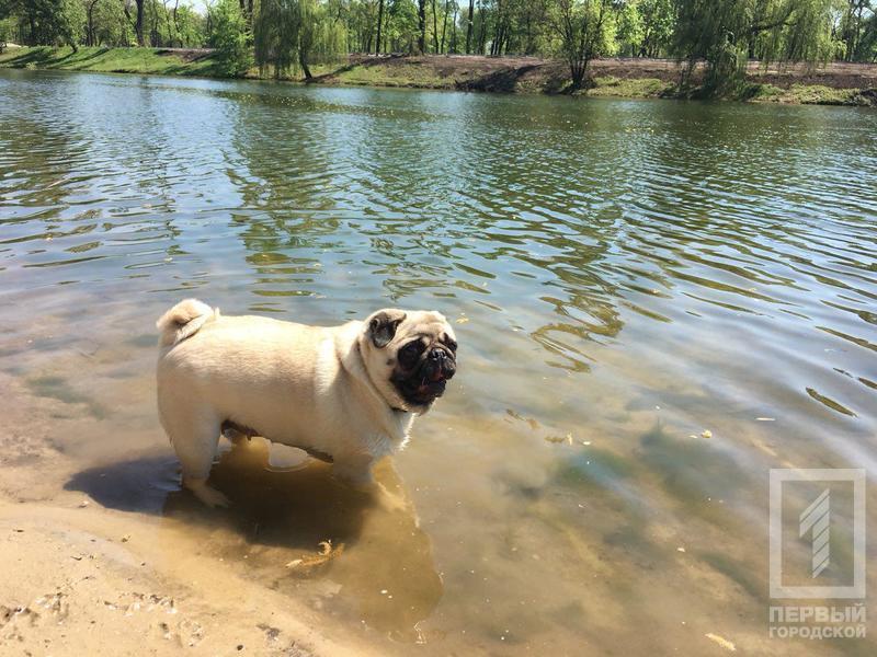 %d0%bc%d0%be%d0%bf%d1%81%d1%8e%d0%bb%d1%8f %d0%bf%d0%bb%d1%8f%d0%b6