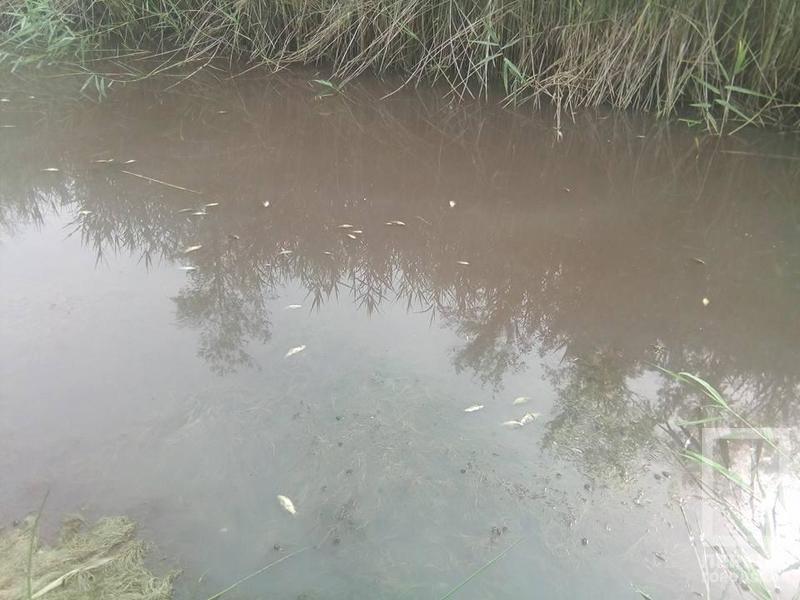 %d0%ba%d0%b0%d0%bd%d0%b0%d0%bb1