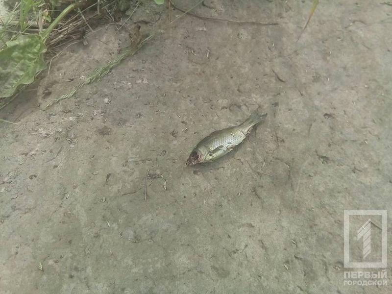 %d0%ba%d0%b0%d0%bd%d0%b0%d0%bb2