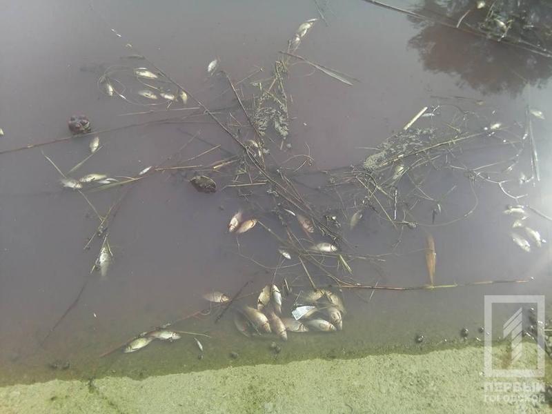 %d0%ba%d0%b0%d0%bd%d0%b0%d0%bb3