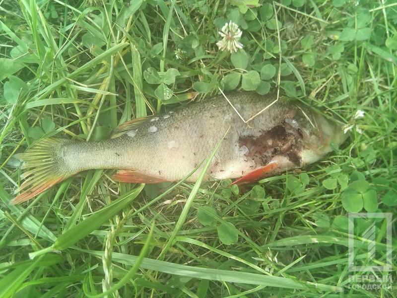 %d0%ba%d0%b0%d0%bd%d0%b0%d0%bb5