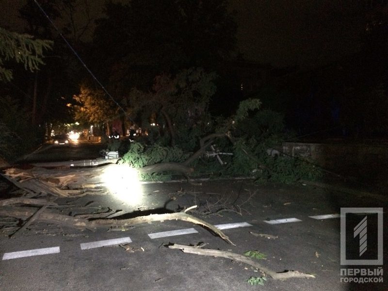 %d0%b2%d0%b5%d1%82%d0%b5%d1%80 %d0%b4%d0%b5%d1%80%d0%b5%d0%b2%d0%be