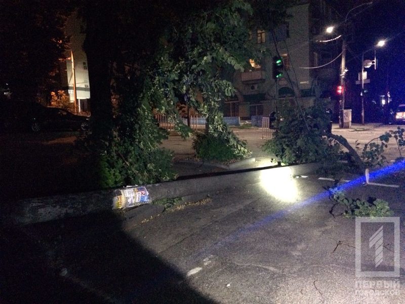 %d0%b2%d0%b5%d1%82%d0%b5%d1%80 %d0%b4%d0%b5%d1%80%d0%b5%d0%b2%d0%be1