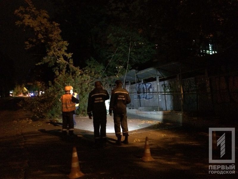 %d0%b2%d0%b5%d1%82%d0%b5%d1%80 %d0%b4%d0%b5%d1%80%d0%b5%d0%b2%d0%be2