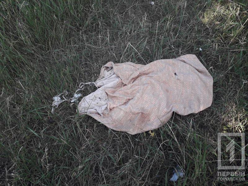 %d1%81%d0%be%d0%b1%d0%b0%d0%ba%d0%b01