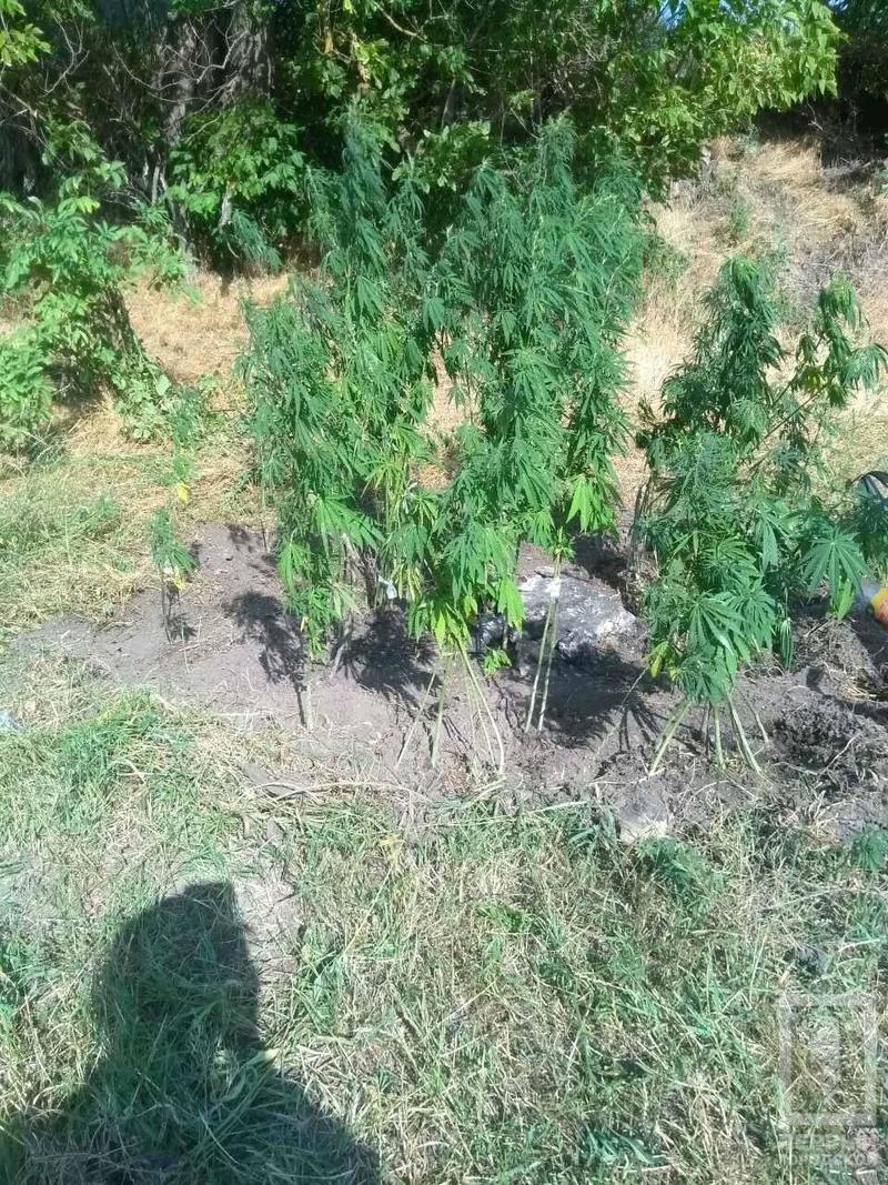 %d0%ba%d0%be%d0%bd%d0%be%d0%bf%d0%bb%d1%8f3