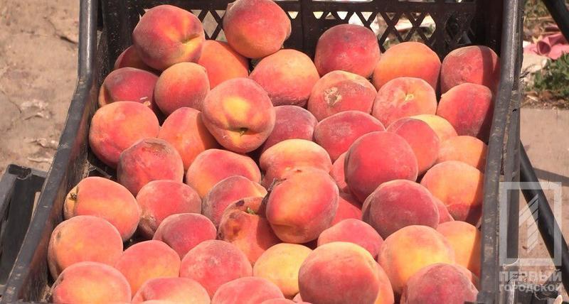 %d1%80%d0%b5%d0%b9%d0%b43