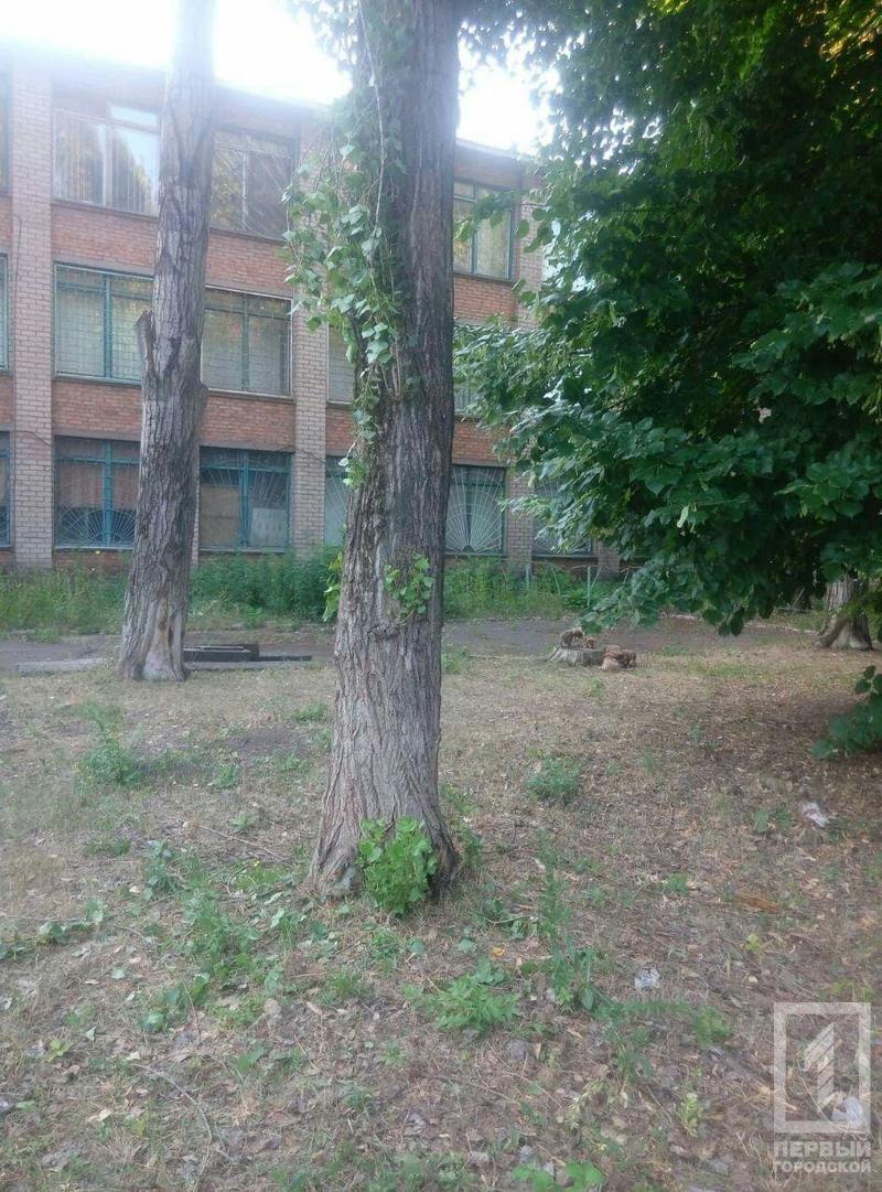 %d0%b4%d0%b5%d1%80%d0%b5%d0%b2%d0%be