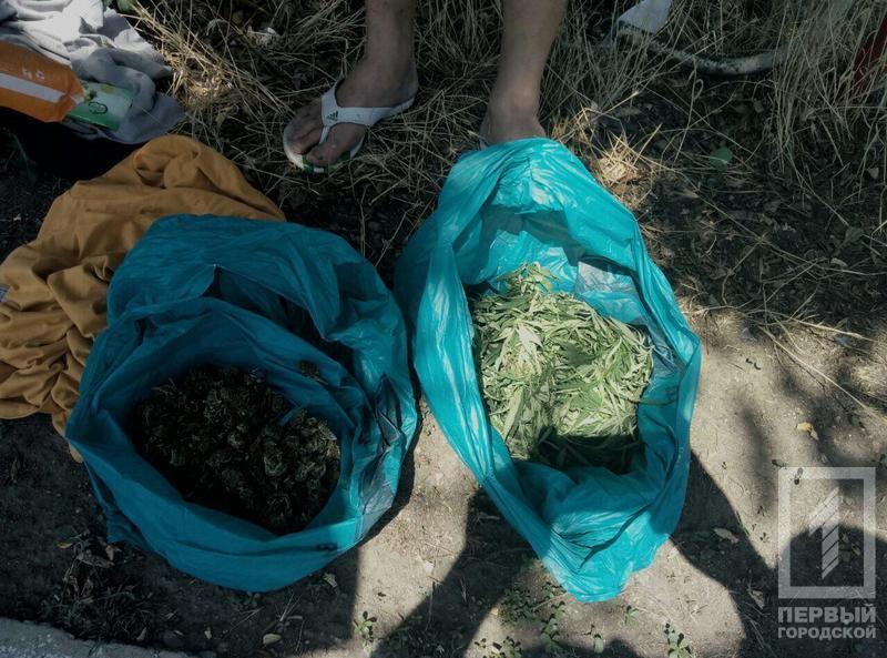 %d0%ba%d0%be%d0%bd%d0%be%d0%bf%d0%bb%d1%8f2