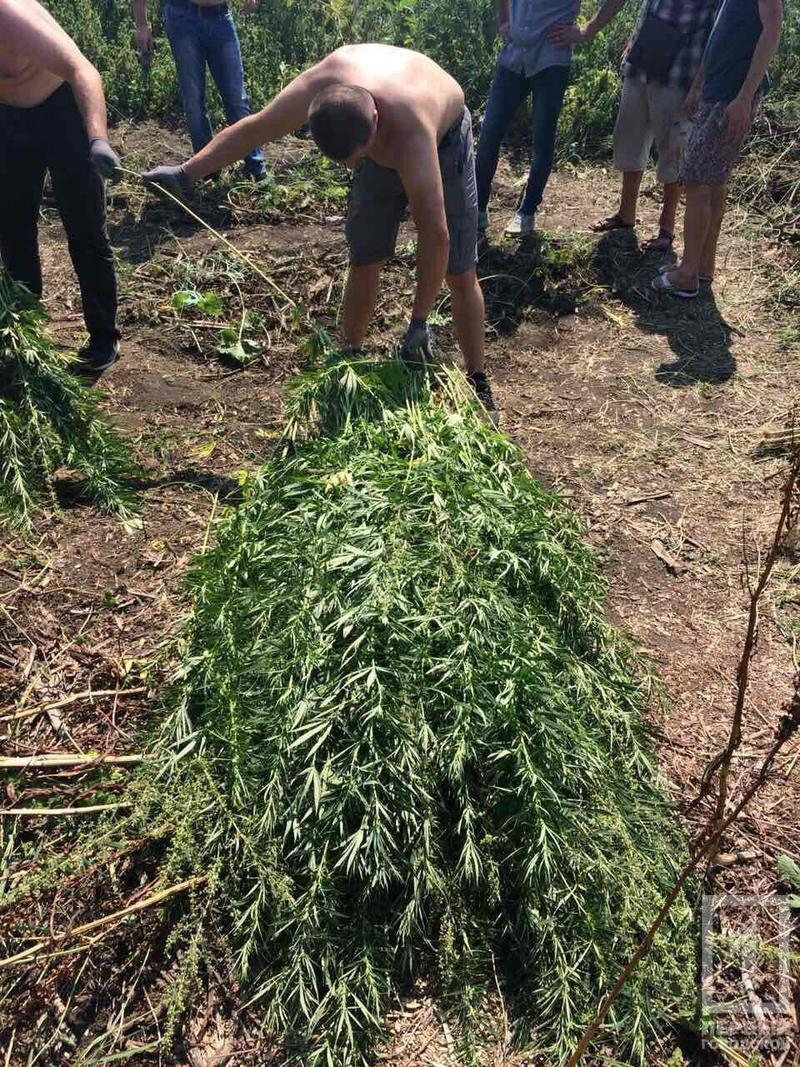 %d0%ba%d0%be%d0%bd%d0%be%d0%bf%d0%bb%d1%8f3