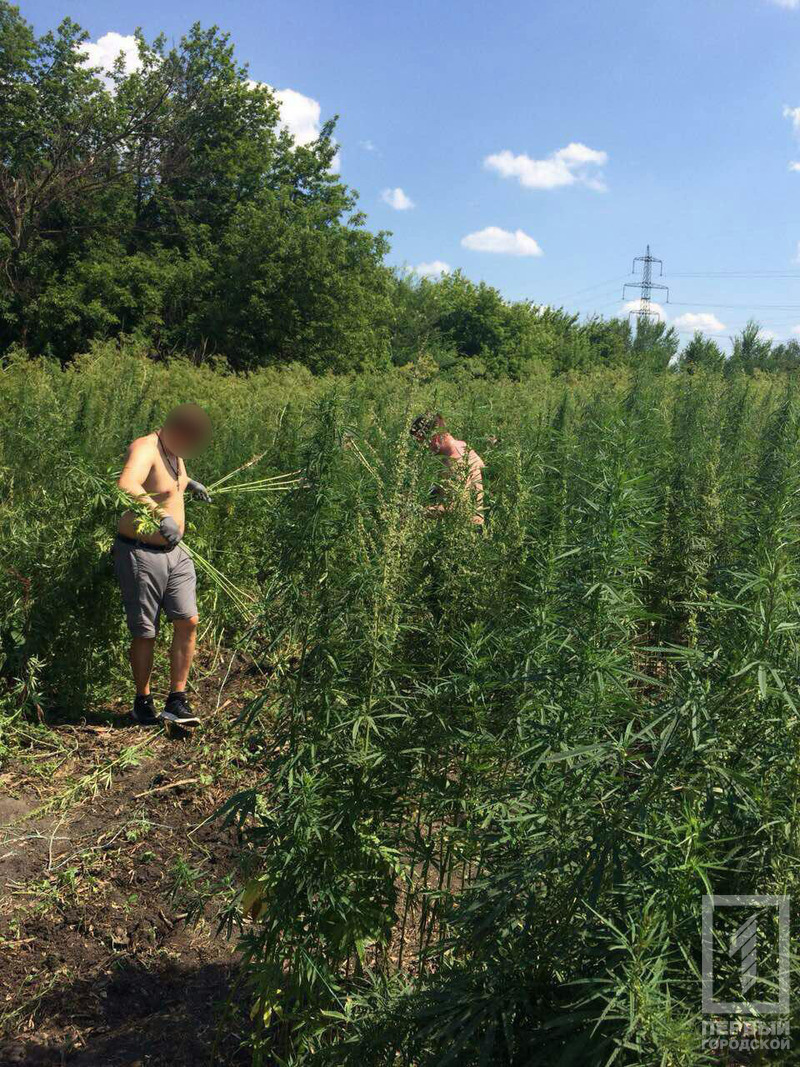 %d0%ba%d0%be%d0%bd%d0%be%d0%bf%d0%bb%d1%8f5