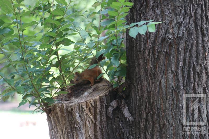 %d0%b1%d0%b5%d0%bb%d0%ba%d0%b0