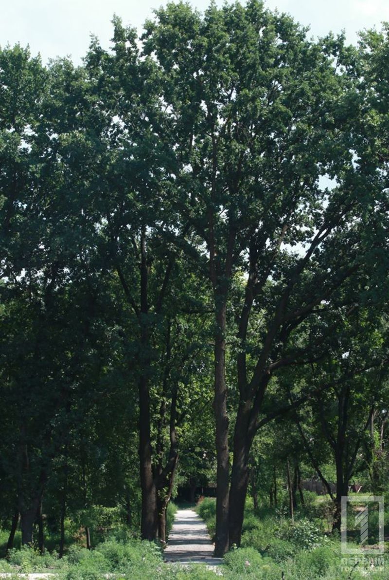 %d0%b4%d0%b5%d1%80%d0%b5%d0%b2%d0%be