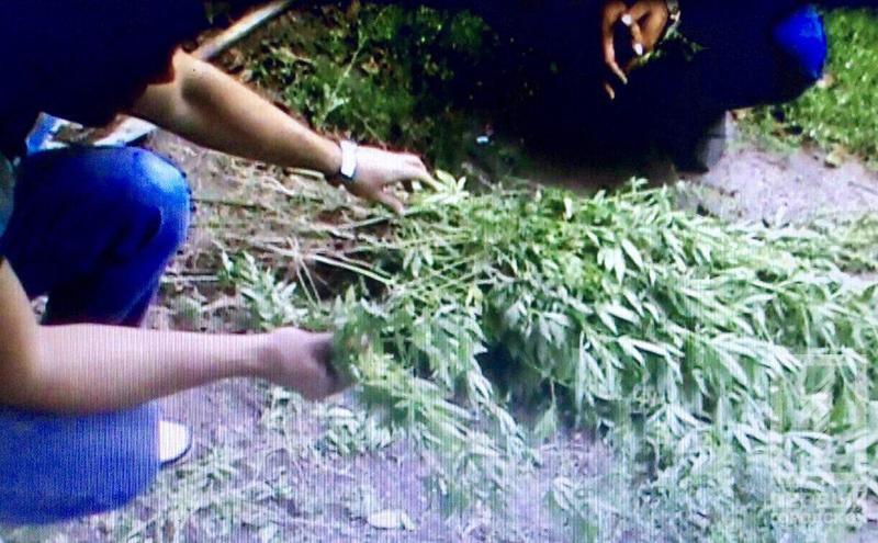 %d0%ba%d0%be%d0%bd%d0%be%d0%bf%d0%bb%d1%8f1