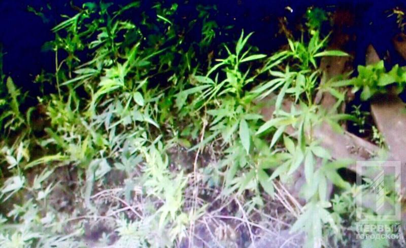 %d0%ba%d0%be%d0%bd%d0%be%d0%bf%d0%bb%d1%8f3