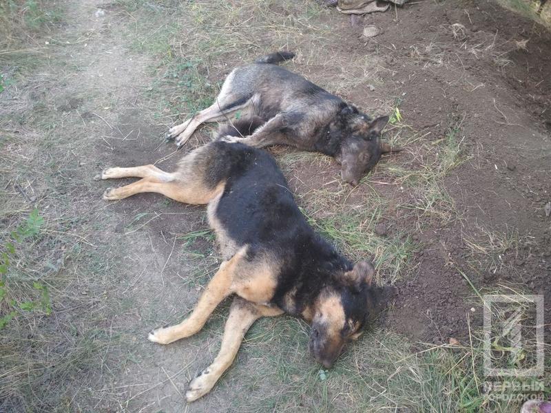 %d1%81%d0%be%d0%b1%d0%b0%d0%ba%d0%b81