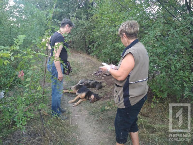 %d1%81%d0%be%d0%b1%d0%b0%d0%ba%d0%b82