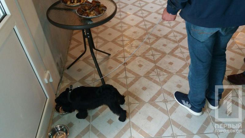 %d0%ba%d0%b0%d1%84%d0%b51