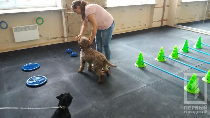 %d0%ba%d0%b0%d1%84%d0%b56