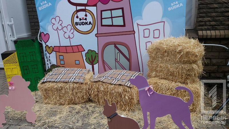 %d0%ba%d0%b0%d1%84%d0%b57