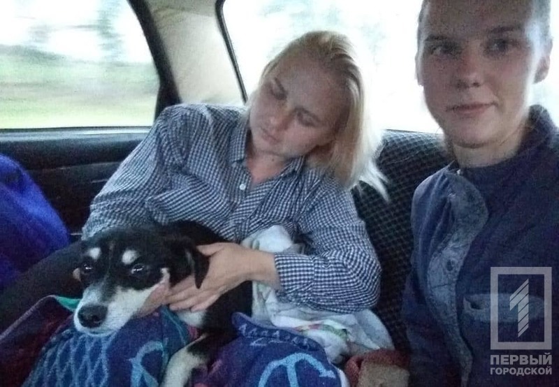 %d0%bf%d1%91%d1%81%d0%b8%d0%ba%d0%b82