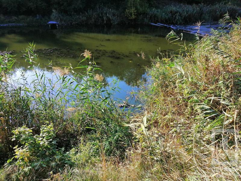 %d1%82%d1%80%d1%83%d0%bf1