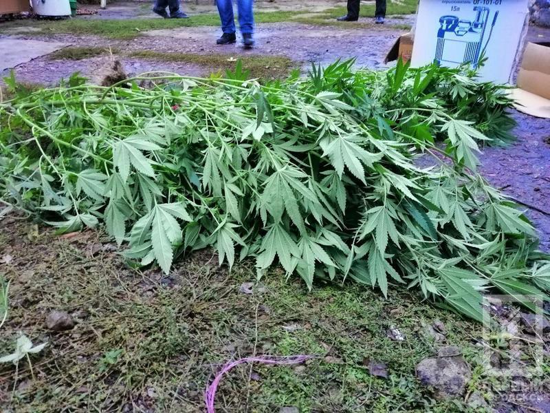 %d0%bd%d0%b0%d1%80%d0%ba%d0%be%d1%82%d0%b8%d0%ba%d0%b81