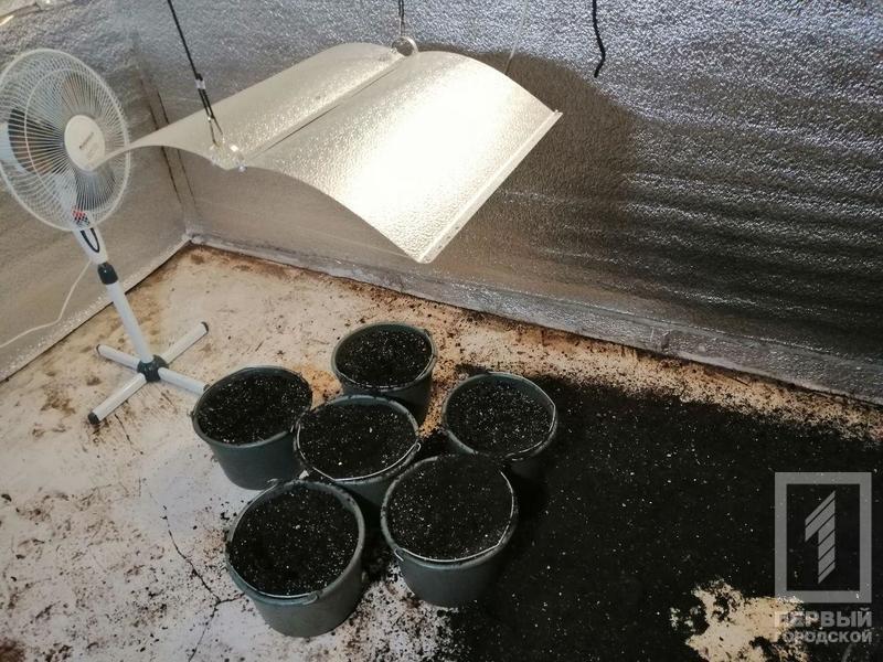 %d0%bd%d0%b0%d1%80%d0%ba%d0%be%d1%82%d0%b8%d0%ba%d0%b83