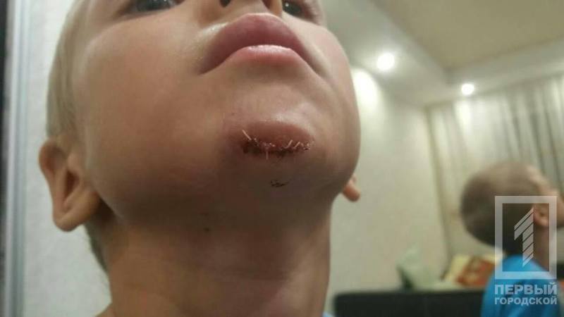 %d0%bf%d0%be%d0%b4%d0%b1%d0%be%d1%80%d0%be%d0%b4%d0%be%d0%ba