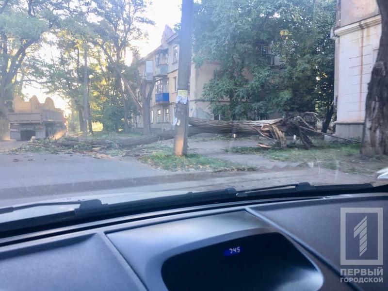 %d0%b4%d0%b5%d1%80%d0%b5%d0%b2%d0%be