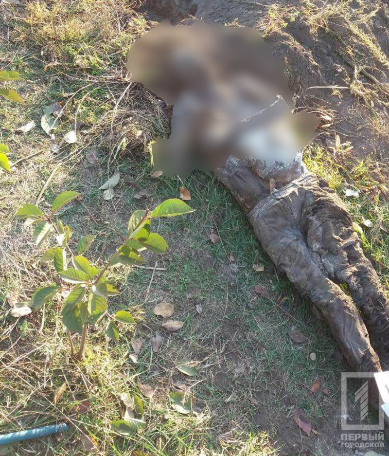 2 %d0%b1%d0%bb%d1%8e%d1%80