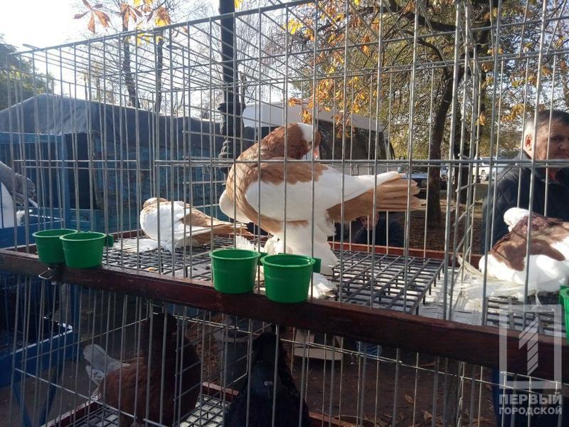 %d0%bf%d1%82%d0%b8%d1%86%d1%8b8