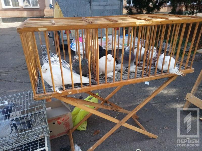 %d0%bf%d1%82%d0%b8%d1%86%d1%8b10