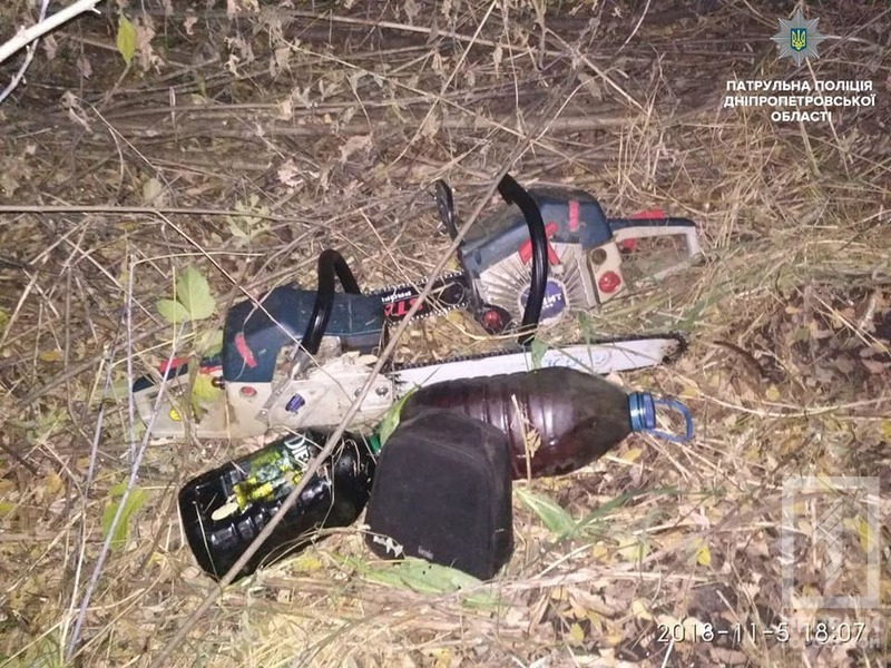 %d0%b4%d1%80%d0%b5%d0%b2%d0%b5%d1%81%d0%b8%d0%bd%d0%b0 %d0%bb%d0%b5%d1%811