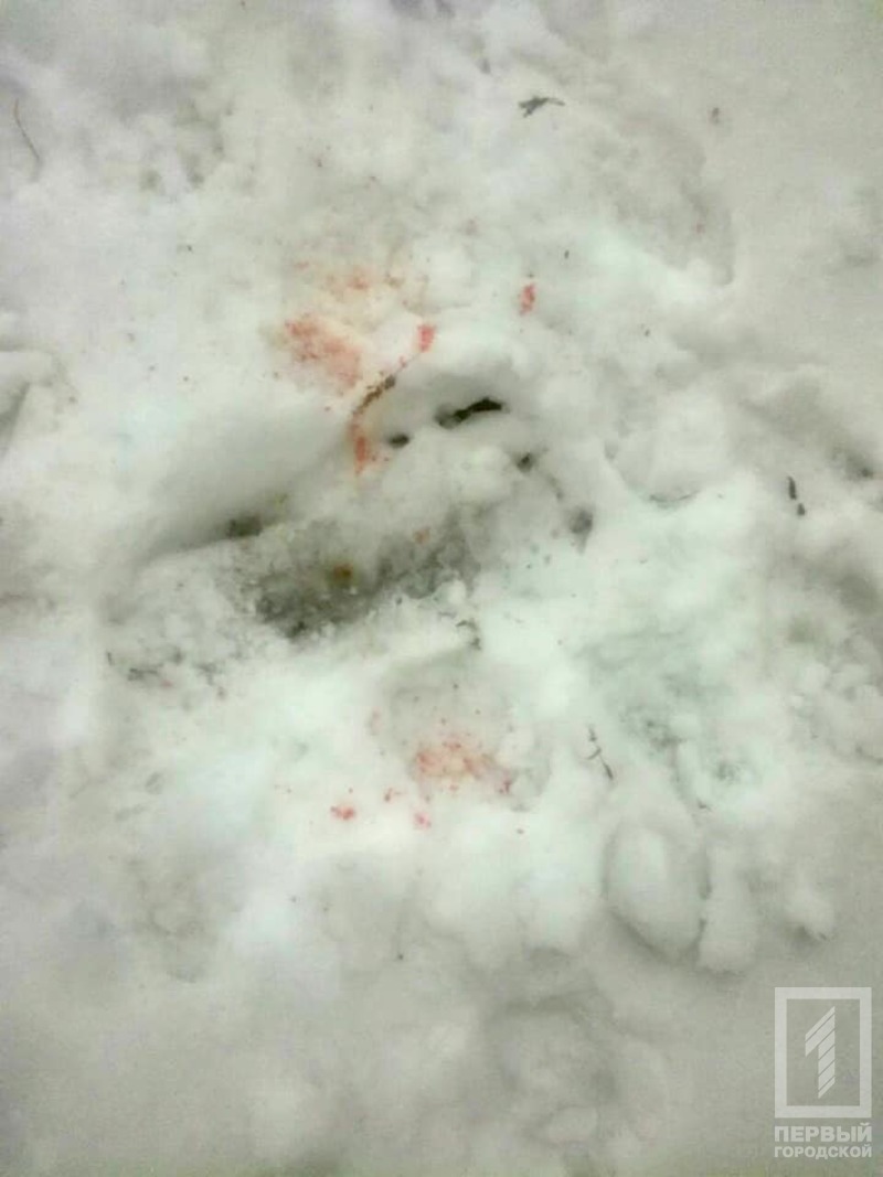 %d1%81%d0%be%d0%b1%d0%b0%d0%ba%d0%b0 %d0%be%d1%82%d1%80%d0%b0%d0%b2%d0%b0