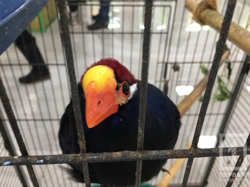 %d0%b2%d1%8b%d1%81%d1%82%d0%b0%d0%b2%d0%ba%d0%b01