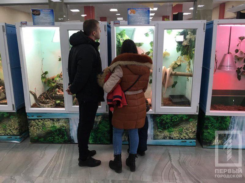 %d0%b2%d1%8b%d1%81%d1%82%d0%b0%d0%b2%d0%ba%d0%b02