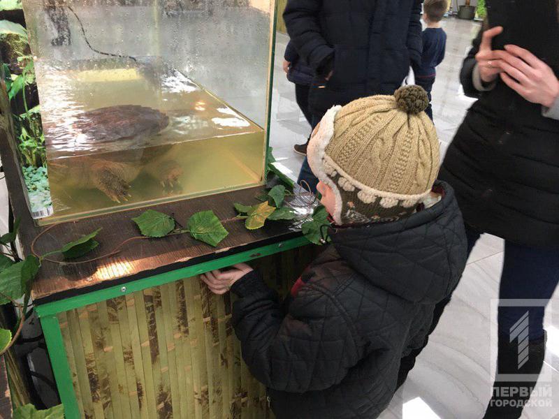 %d0%b2%d1%8b%d1%81%d1%82%d0%b0%d0%b2%d0%ba%d0%b03