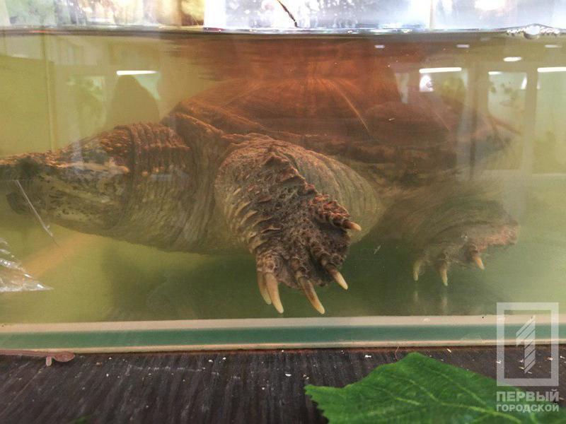 %d0%b2%d1%8b%d1%81%d1%82%d0%b0%d0%b2%d0%ba%d0%b04