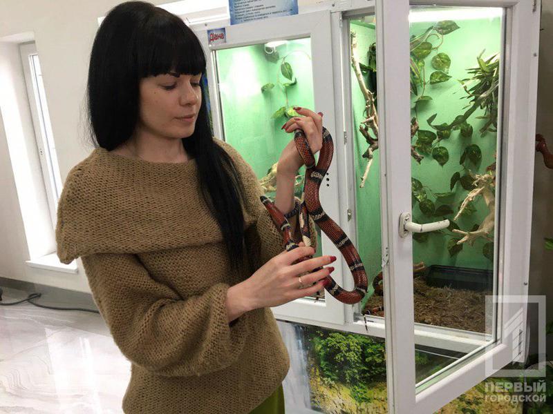 %d0%b2%d1%8b%d1%81%d1%82%d0%b0%d0%b2%d0%ba%d0%b05