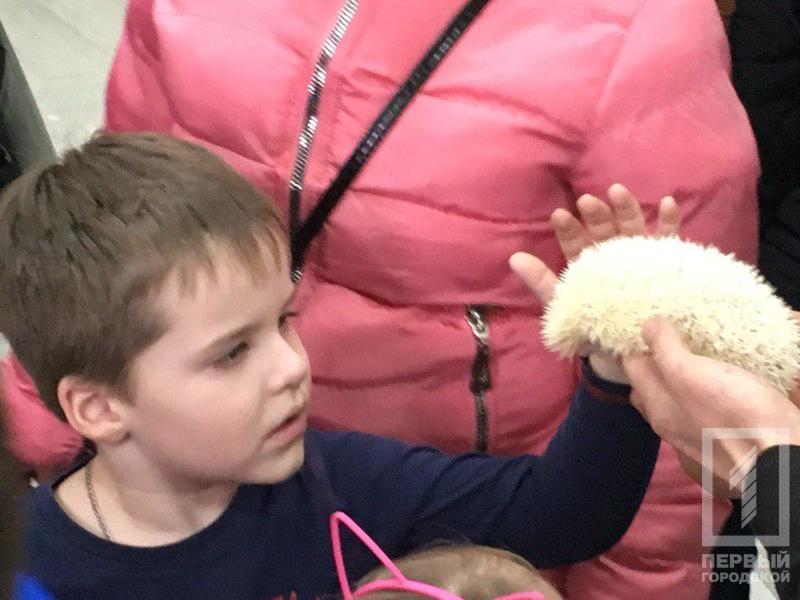 %d0%b2%d1%8b%d1%81%d1%82%d0%b0%d0%b2%d0%ba%d0%b08