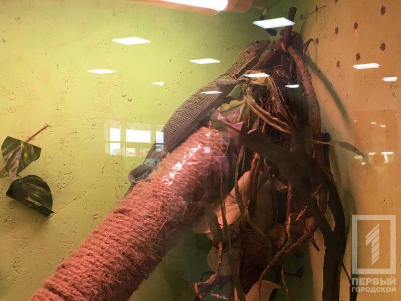 %d0%b2%d1%8b%d1%81%d1%82%d0%b0%d0%b2%d0%ba%d0%b010