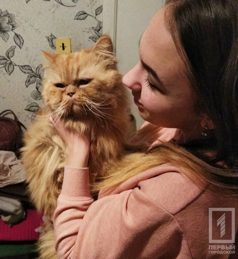 %d0%ba%d0%be%d1%82%d0%b8%d0%ba1