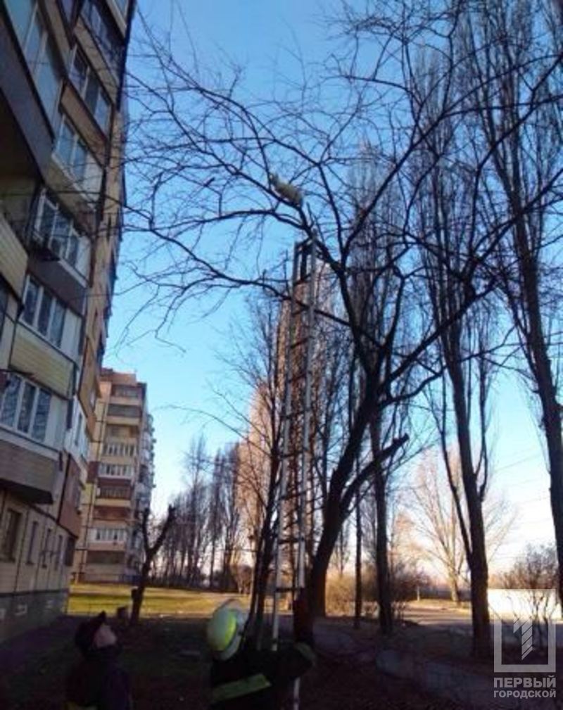 %d0%b4%d0%b5%d1%80%d0%b5%d0%b2%d0%be1