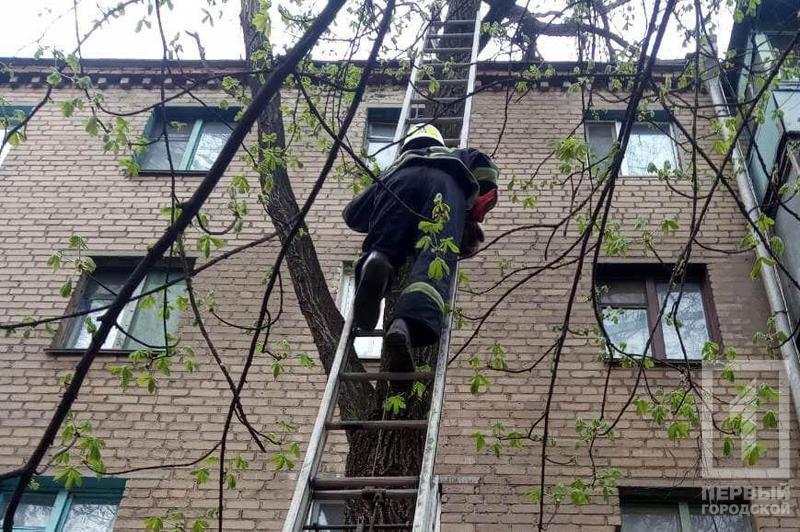 %d0%ba%d0%be%d1%82%d0%b8%d0%ba1