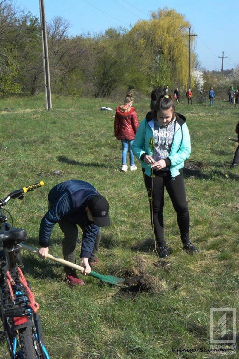 %d0%b4%d0%b5%d1%80%d0%b5%d0%b2%d1%8c%d1%8f2